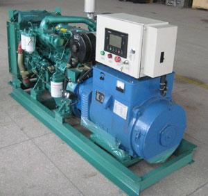 巫溪发电机出租